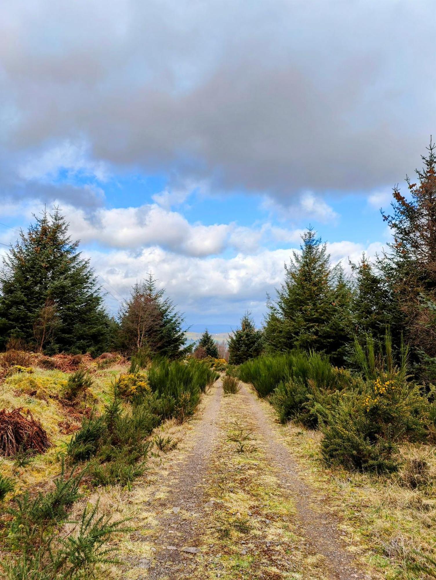Pitcaithly Cottage Abernethy Buitenkant foto