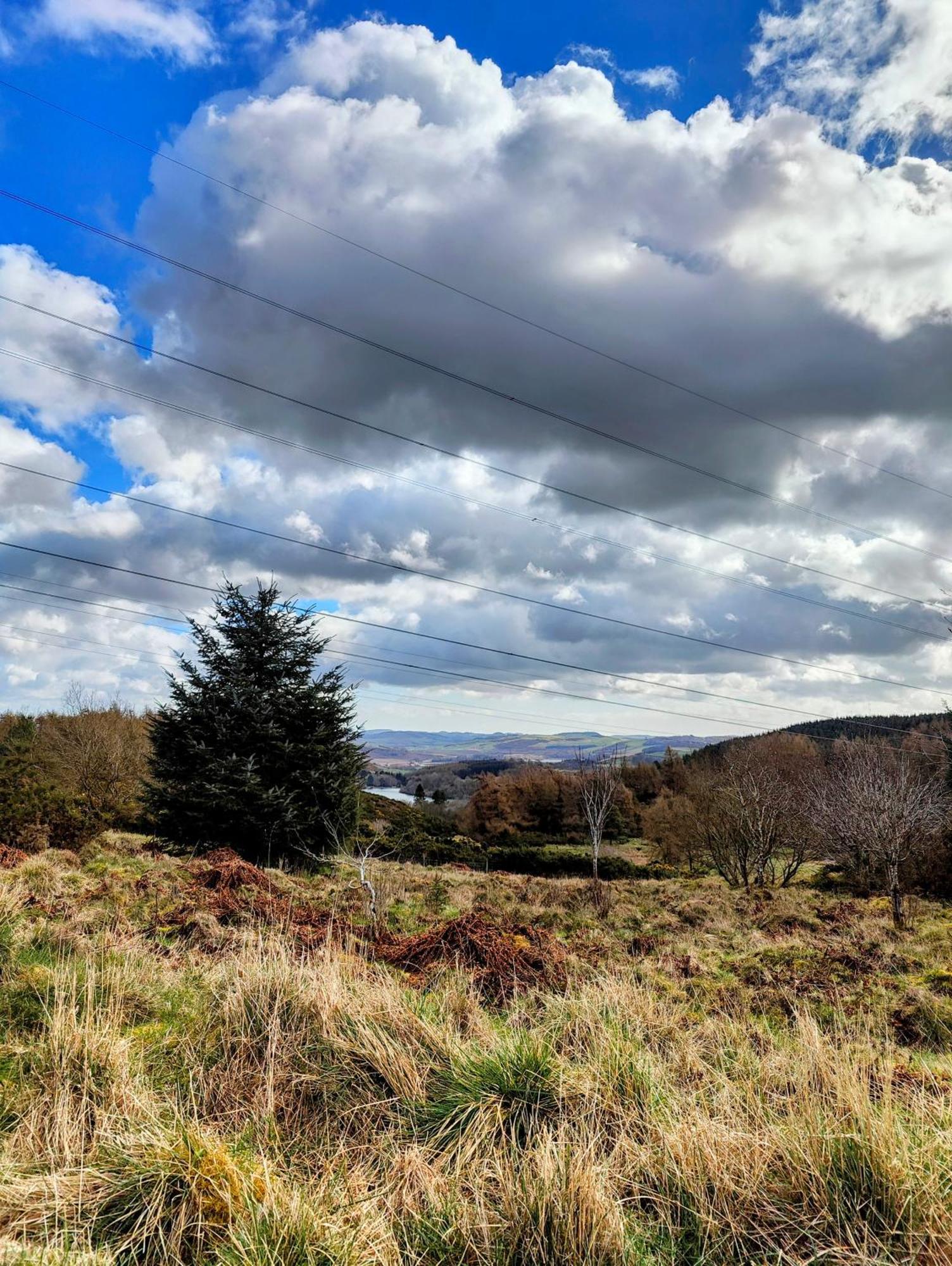 Pitcaithly Cottage Abernethy Buitenkant foto